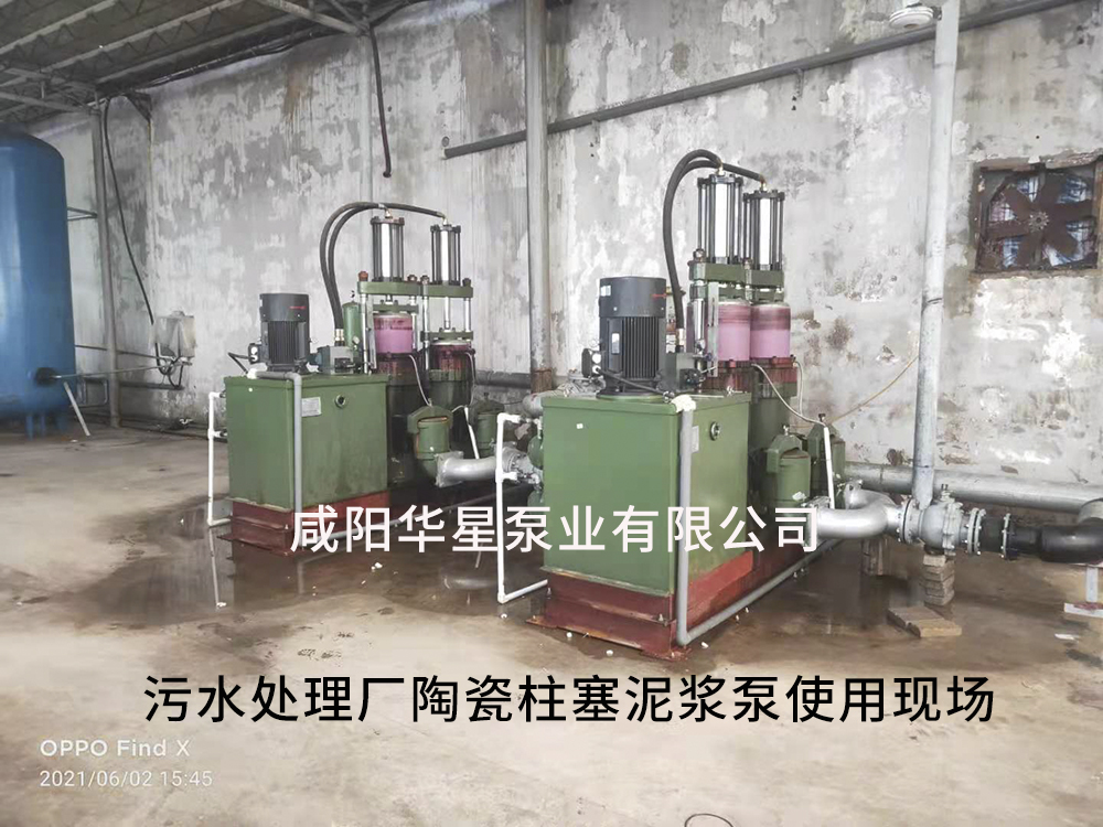 廣東(dong)陶瓷(ci)柱塞(sai)泵