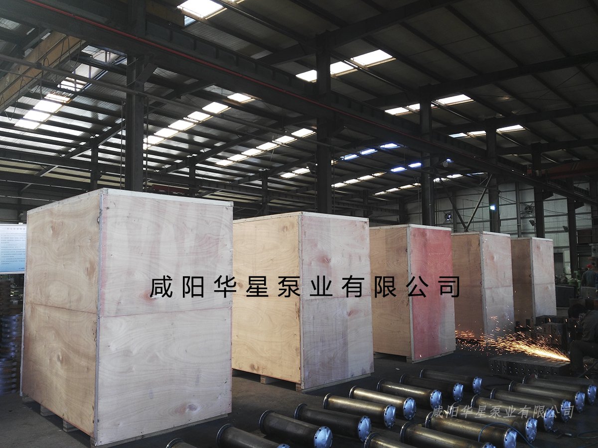 陶(tao)瓷柱塞(sai)泵發貨(huo)視頻