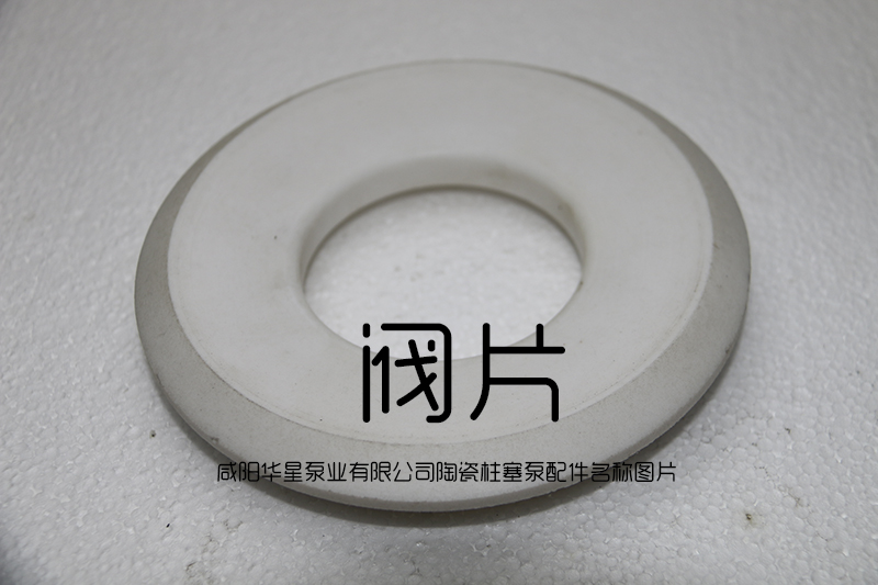 陶瓷柱(zhu)塞泵閥(fa)片