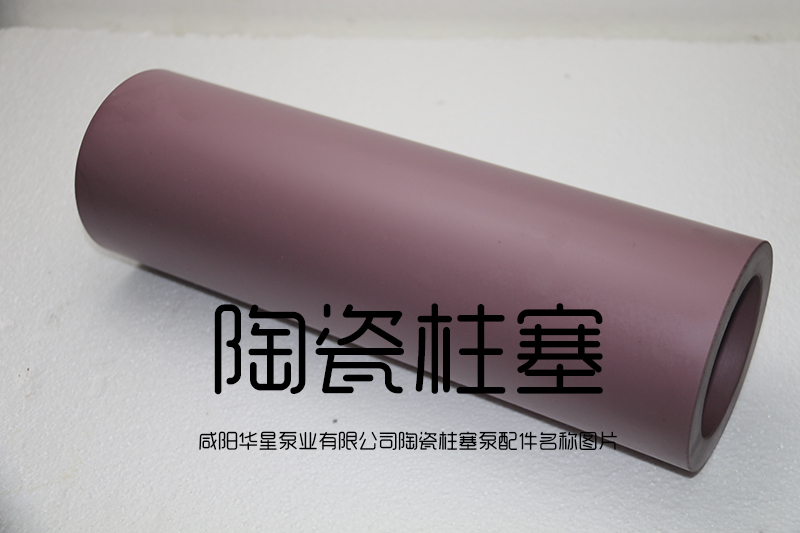 陶(tao)瓷柱塞(sai)泵陶瓷(ci)柱塞