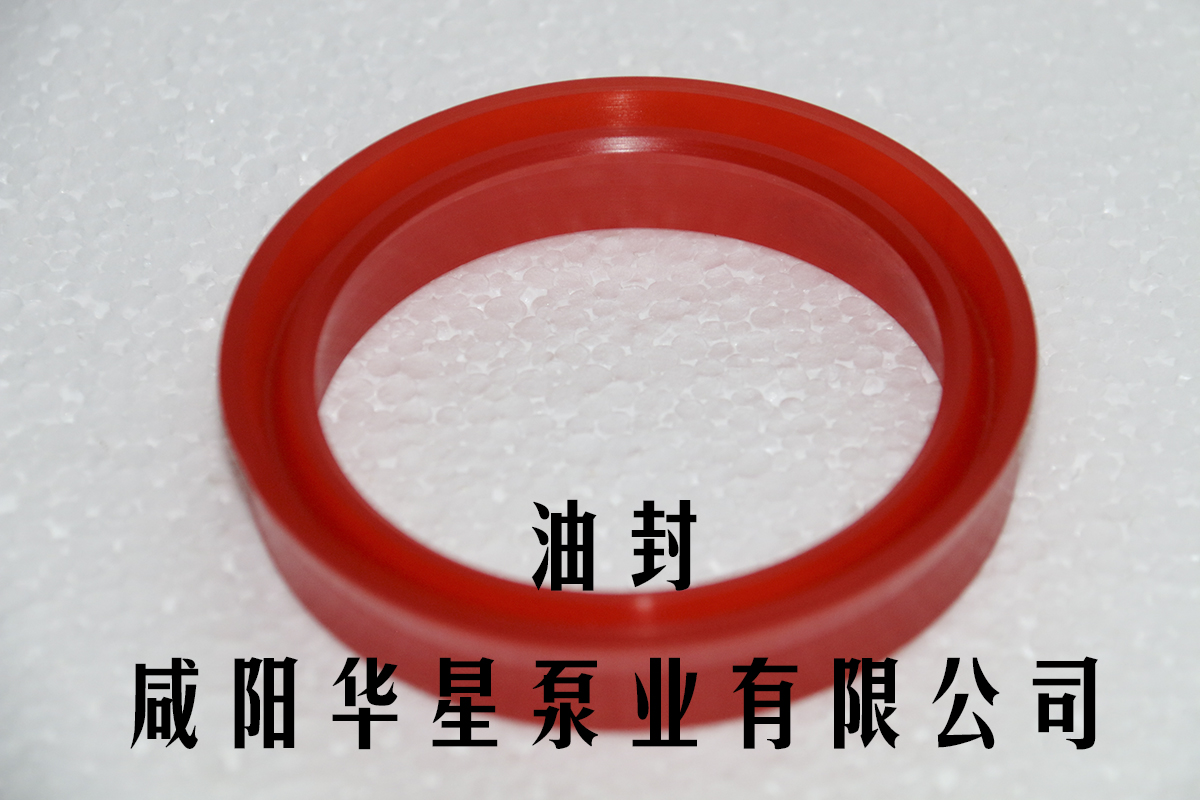 陶瓷柱(zhu)塞泵油(you)封