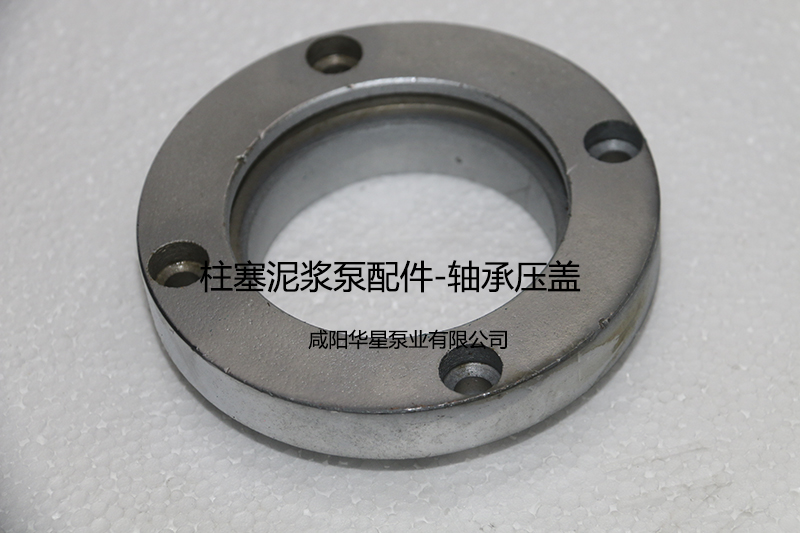 陶(tao)瓷柱塞(sai)泵軸承(cheng)壓蓋