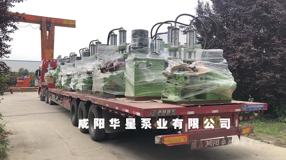 壓濾(lü)機泵發(fa)貨圖片(pian)