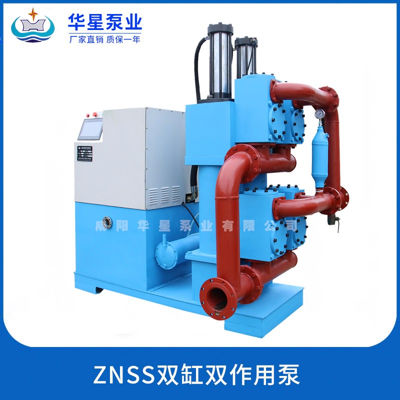 公(gong)司産品(pin)圖片-ZNSS雙(shuang)缸雙作(zuo)用泵