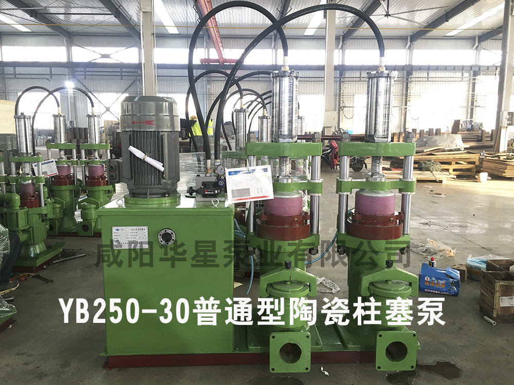YB250-30陶瓷柱(zhu)塞泵普(pu)通型陶(tao)瓷柱塞(sai)泵 YB250-30陶瓷(ci)柱塞泵(beng)普通型(xing)陶瓷柱(zhu)塞泵