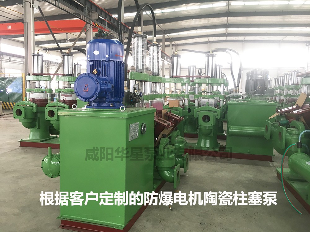 防爆(bao)電機(ji)陶瓷(ci)柱塞(sai)泵