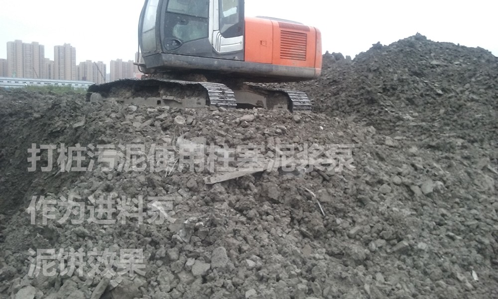 處理(li)後的(de)泥餅(bing)2