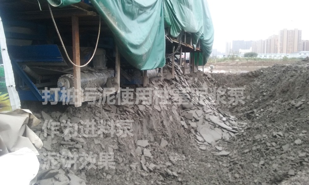 處理(li)後的(de)泥餅(bing)3