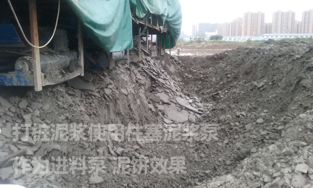 處理(li)後的(de)泥餅(bing)