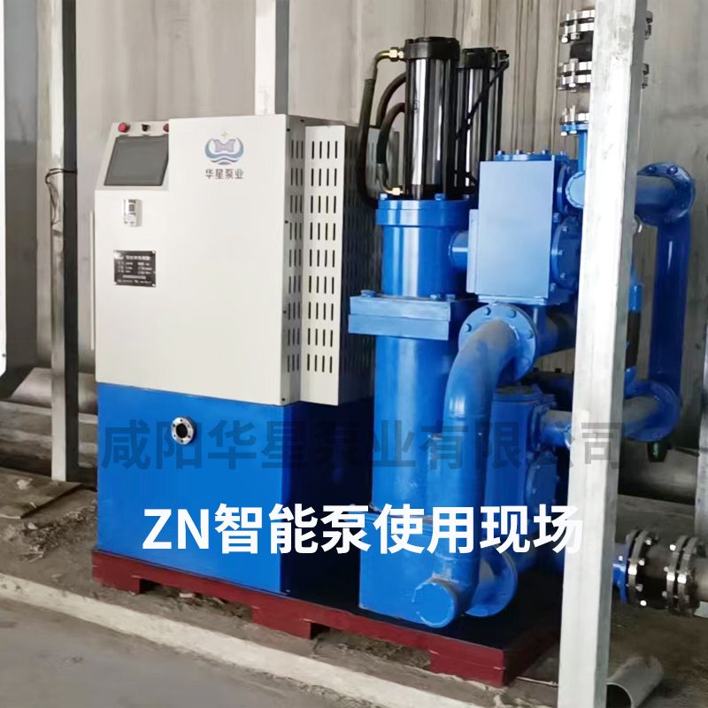 陶瓷(ci)柱塞泵-智(zhi)能變頻泵(beng)安裝培訓(xun)現場