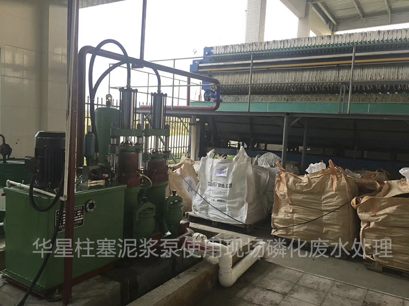 壓濾機(ji)入料泵(beng)有兩種(zhong)密封形(xing)式