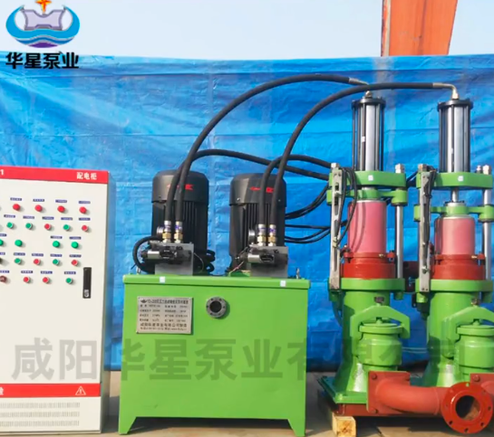 陶瓷柱(zhu)塞雙缸(gang)泵